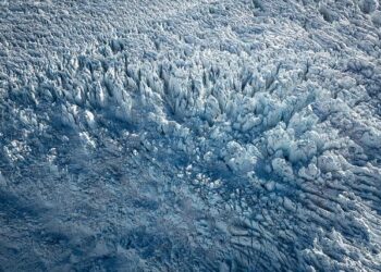 Discovering the Tiny Island Nation’s Key Role in the Trump-Maduro Standoff