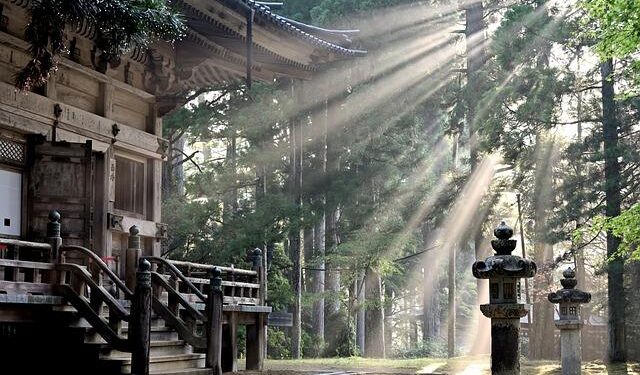 Shining Bright: Miss America’s Teen Takes Puerto Rico by Storm with Rebel Athletic!