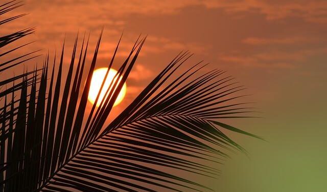 Thousands at a Crossroads: The Impact of DHS Ending Temporary Protected Status for Nicaragua and Honduras