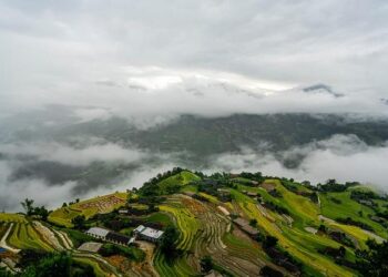 Unlocking the Secrets: Discover the Key Insights from Aruba’s STEPS Survey!