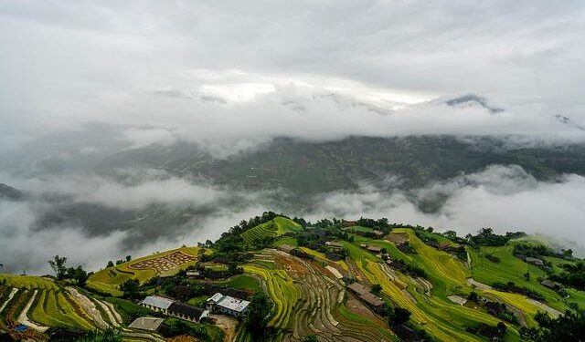 Unlocking the Secrets: Discover the Key Insights from Aruba’s STEPS Survey!