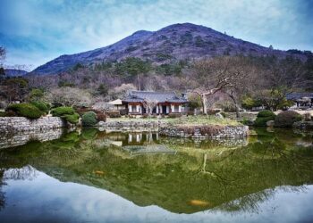 Massive 6.5 Magnitude Earthquake Rocks Eastern Guadeloupe!