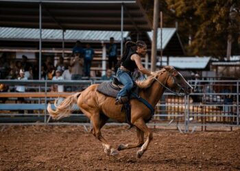 Behind the Headlines: The Untold Story of the Cowboys Cheerleaders’ Bahamas Trip