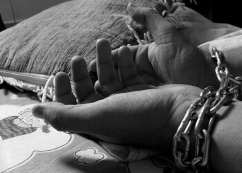 Into the Darkness: Exposing Suriname’s Jaguar Trafficking Underworld