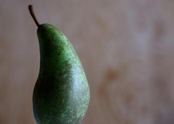 Sanctions: Unseen Consequences of Economic Warfare on Everyday Lives