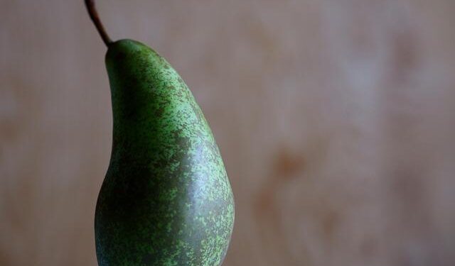 Sanctions: Unseen Consequences of Economic Warfare on Everyday Lives