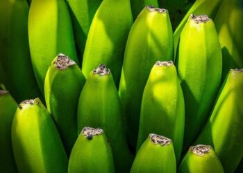 Suriname’s Exports Soar to New Heights!