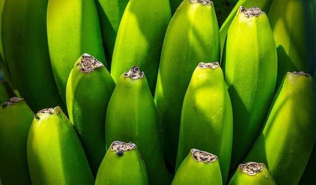 Suriname’s Exports Soar to New Heights!