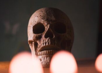 Skeleton Unearthed in Guatemala Sparks New Hopes in Search for Missing US Birdwatcher