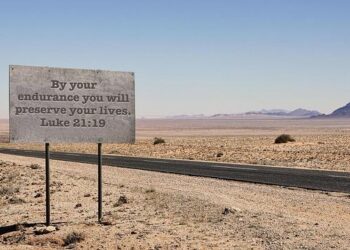 Must-Know Travel Tips and Safety Secrets for Your U.S. Adventure!