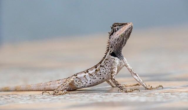 Unlocking Success: Key Insights from Costa Rica’s Manufacturing Revolution