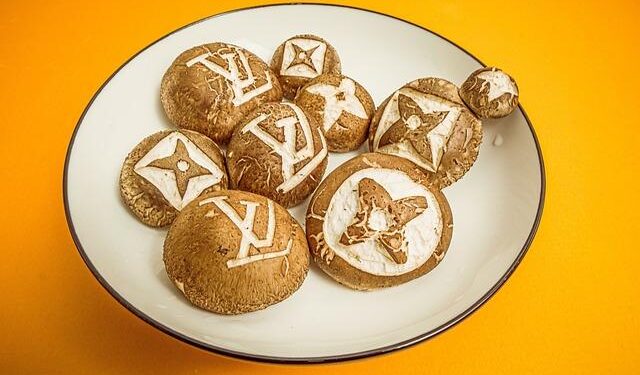 Thrills and Anticipation Ignite at the Louis Vuitton America’s Cup Qualifiers in Bermuda!