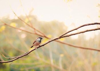 Revamping the ‘Ugliest House in America’: A Season 7 Renovation Adventure!