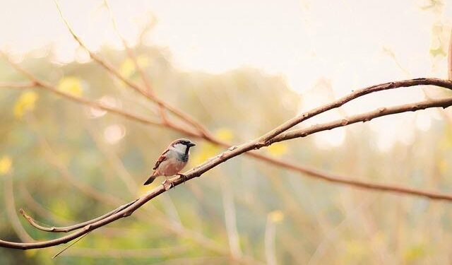 Revamping the ‘Ugliest House in America’: A Season 7 Renovation Adventure!