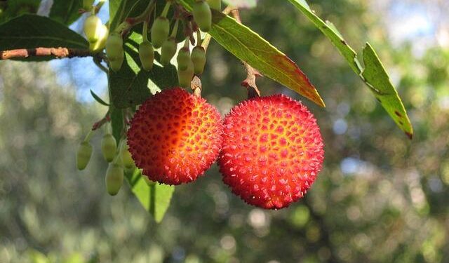 Adventure Awaits: Hegseth and Caine Discover Puerto Rico During Surge of US Military Activity in the Caribbean