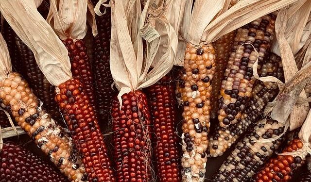 Experience a Unique Thanksgiving Celebration in Grenada!