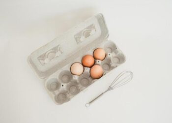 Elopak Unveils Its First U.S. Carton Plant in Little Rock, Arkansas!