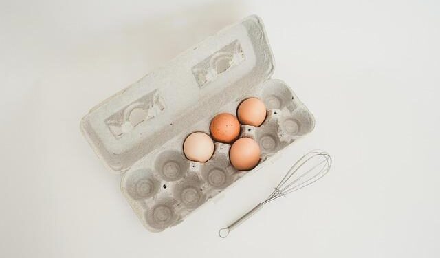 Elopak Unveils Its First U.S. Carton Plant in Little Rock, Arkansas!