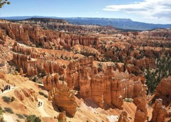 U.S. Men’s National Team Dominates with an Impressive 6-0 Win Against St. Kitts and Nevis!