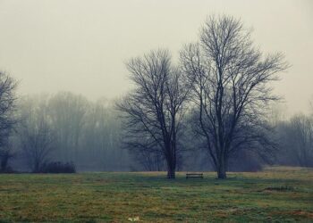 Uncovering Secrets: The Hidden Legacy of AFOSI and Operation Urgent Fury