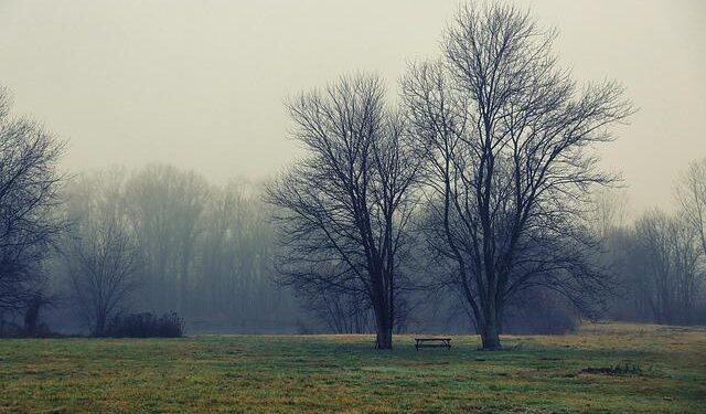 Uncovering Secrets: The Hidden Legacy of AFOSI and Operation Urgent Fury