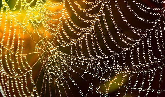 Mastering the Game: Noboa’s Brilliant Strategy to Overcome the Incumbency Challenge