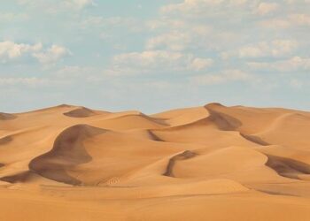 Elevating Travel: UAE’s $147 Million Investment to Revamp Barbados’ Grantley Adams International Airport