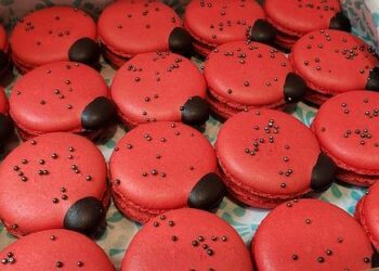 Macron’s Defiant Message to French Guiana: ‘I’m No Santa Claus!