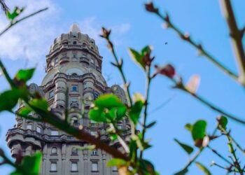 Uruguay Leads the Charge: The First South American Nation to Embrace Assisted Dying