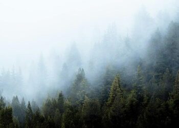 Unleashing Innovation: Explore DENSO’s Vision for the Future in North America