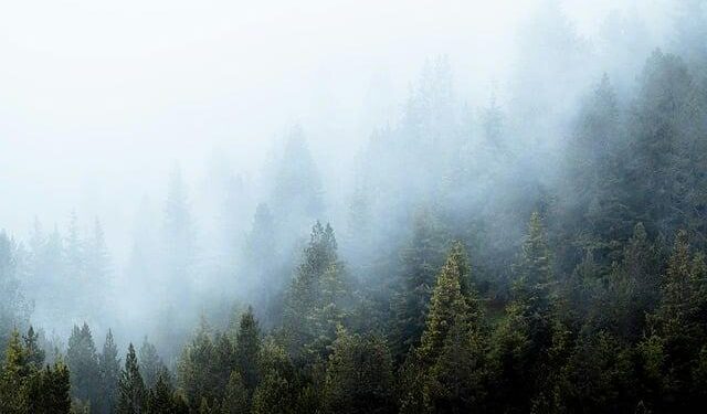 Unleashing Innovation: Explore DENSO’s Vision for the Future in North America