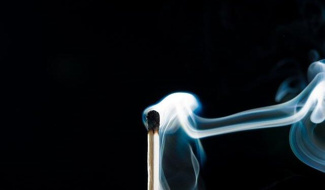 Don’t Miss a Moment: Live Updates and Highlights from the Namibia vs USA T20 Showdown!