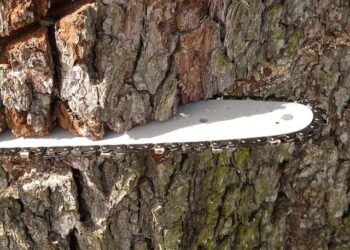 Navigating Supply Chain Challenges: Strategies for Success Amid Rising Venezuela-US Tensions