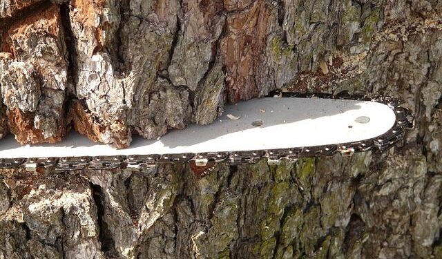 Navigating Supply Chain Challenges: Strategies for Success Amid Rising Venezuela-US Tensions