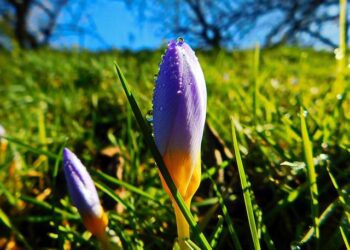 Trisha Bailey Pledges $3.5 Million to Boost Melissa Relief Efforts!