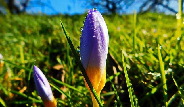 Trisha Bailey Pledges $3.5 Million to Boost Melissa Relief Efforts!