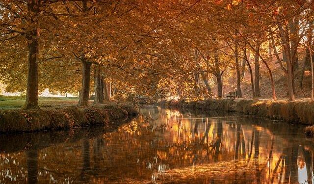 LA Galaxy Academy Stars Magaña Jr. and Hartley Shine as They Join U.S. Youth National Team Camp in Arizona!