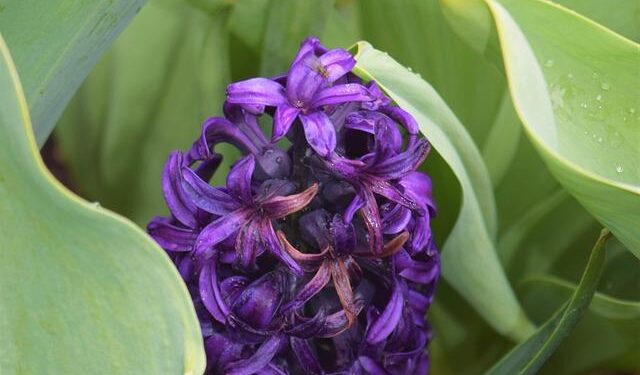 Bentonville: Discover One of America’s Best-Kept Secrets!