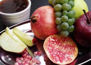 Exploring the Rising Israeli Influence in South America: Three Crucial Frontlines