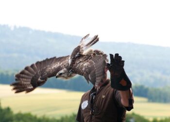 Griffin Naess Dazzles on the Diamond: A Well-Deserved Spot on the National Team of the Week!