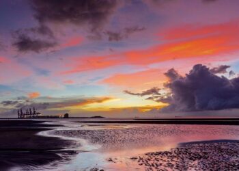 Taiwan Emerges as a Key Player in America’s AI Supply Chain Amid Rising US-China Trade Tensions