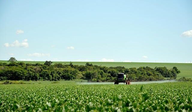 Critical Alert: French Guiana’s Soy Biofuel Plants Endanger the Amazon Rainforest with Alarming Deforestation