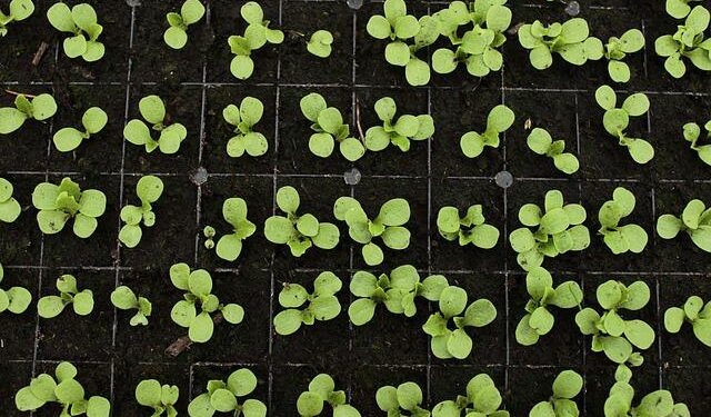 Unlocking the Secrets of Food Security in the U.S.: Key Stats and Insights You Need to Know