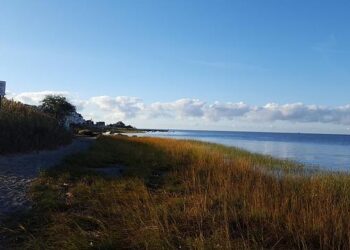 Revealing Secrets: Key Takeaways from Hillary Clinton’s Epstein Deposition You Can’t Miss!