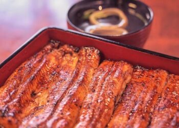 Unlocking the Mysteries of Unagi: Surprising DNA Discoveries About American Eel in Japan’s Markets