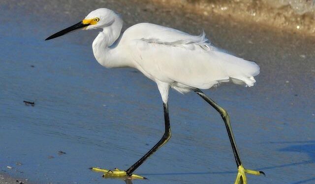 Defense Secretary Pete Hegseth Launches 2025 Central American Security Summit