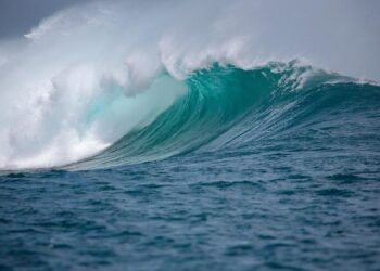 Indian Refiners Seize Exciting New Opportunities with Guyanese Oil Grades