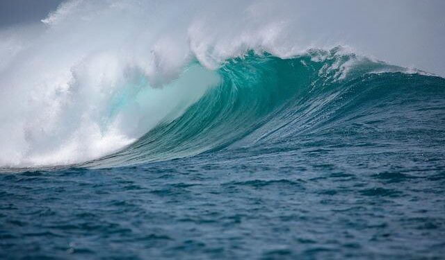 Indian Refiners Seize Exciting New Opportunities with Guyanese Oil Grades