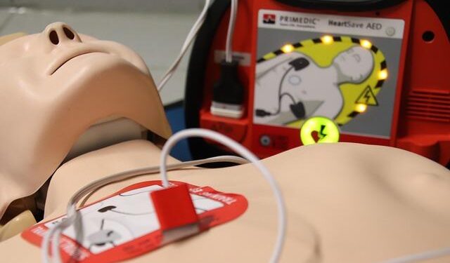 Rekindling the Earth: Indigenous Tribes Harness Fire to Restore California’s Forests