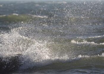 Judge Declares Kari Lake’s Leadership at Voice of America Unlawful